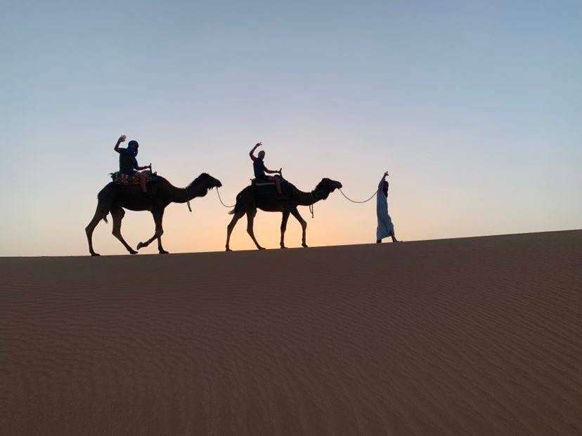 Camel trek sunset silhouette