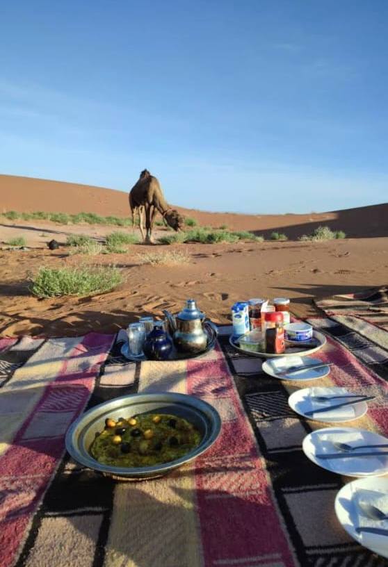 Desert picnic with camel